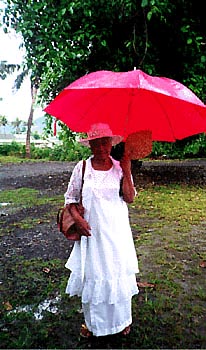 Lady